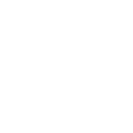 plačiau